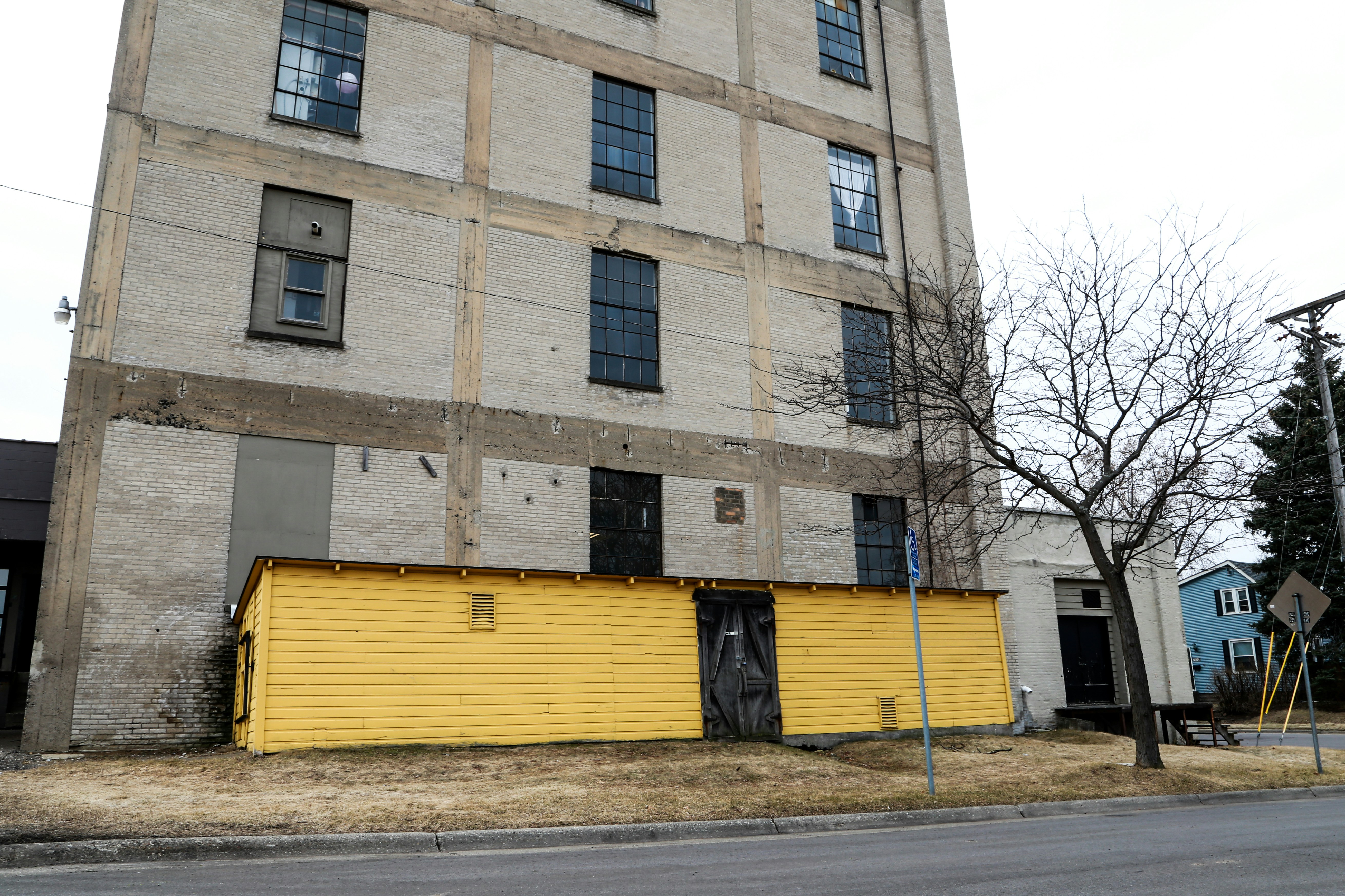 brown concrete building near bare trees during daytime